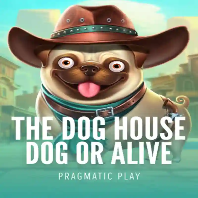 Dog House Dog & Alive Casino Online mami138